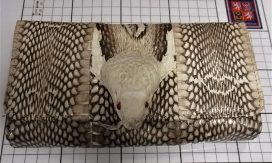 2017-1-10-1251foto 9 CITES.JPG